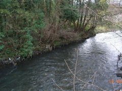 Upper tinplate works, stonework of Western riverbank, Abercarn, November 2008